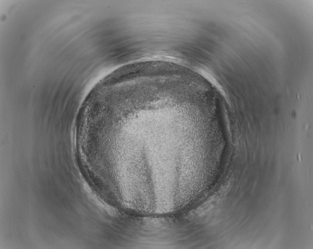 X0000088031032200705251111