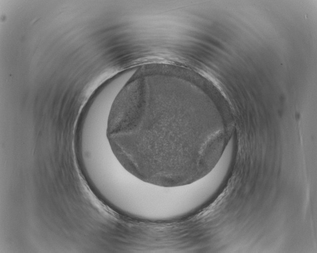 X0000088031034200705251111