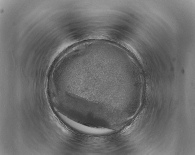 X0000088031035200705251111