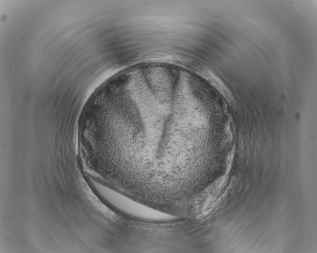 X0000088031036200705251111