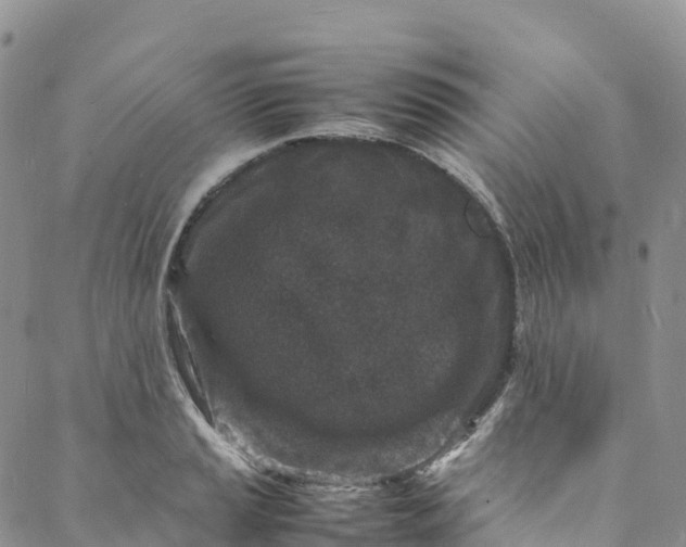 X0000088031037200705251111