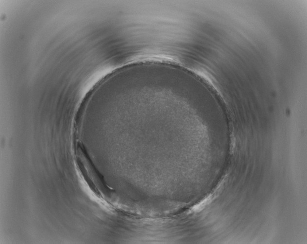 X0000088031038200705251111