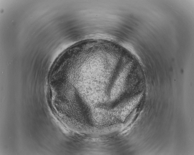 X0000088031040200705251111