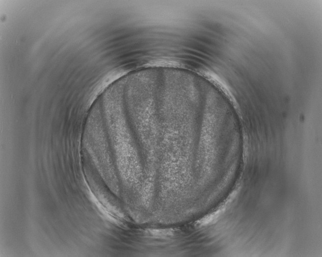 X0000088031041200705251111