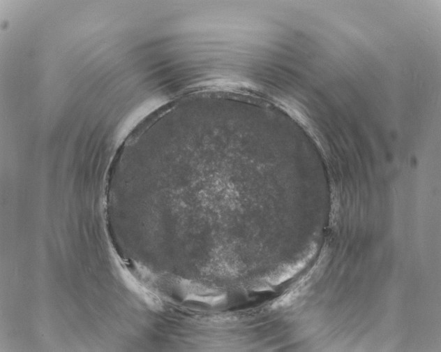 X0000088031042200705251111