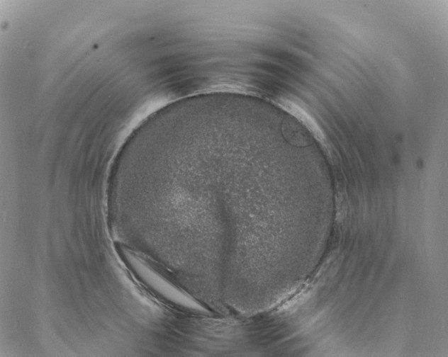 X0000088031043200705251111