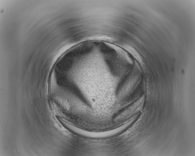 X0000088031044200705251111