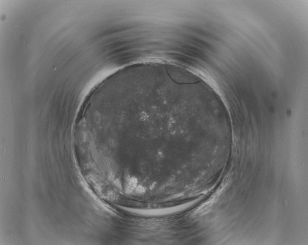 X0000088031045200705251111