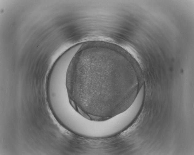 X0000088031046200705251111