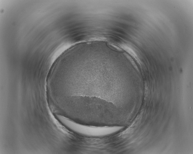 X0000088031047200705251111