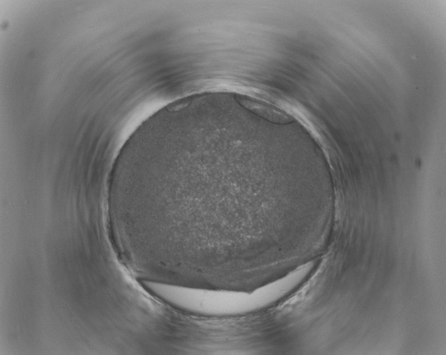 X0000088031048200705251111