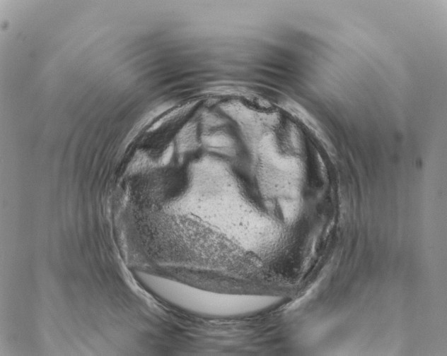 X0000088031049200705251112