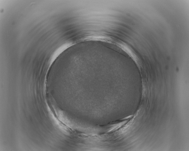 X0000088031050200705251112