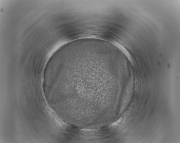 X0000088031051200705251112