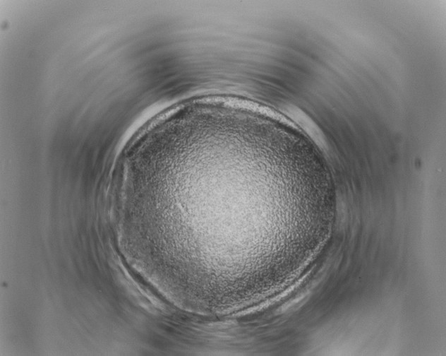 X0000088031052200705251112