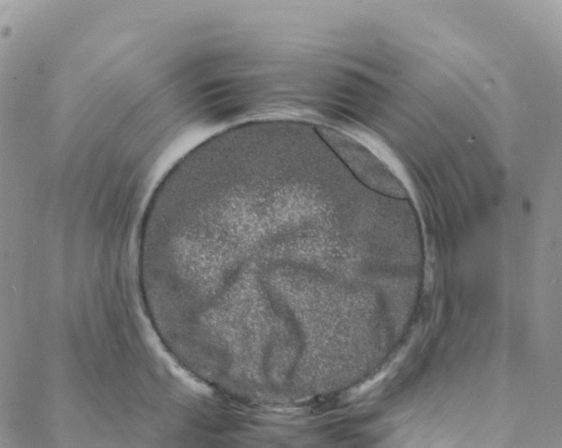 X0000088031053200705251112