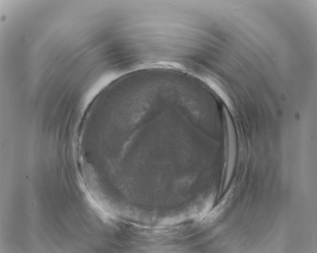 X0000088031054200705251112