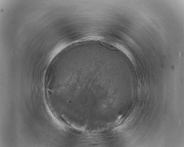 X0000088031055200705251112