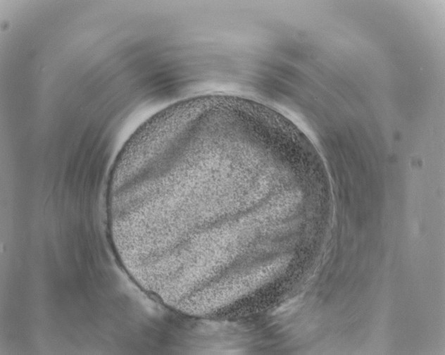 X0000088031056200705251112