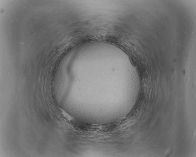 X0000088031057200705251111