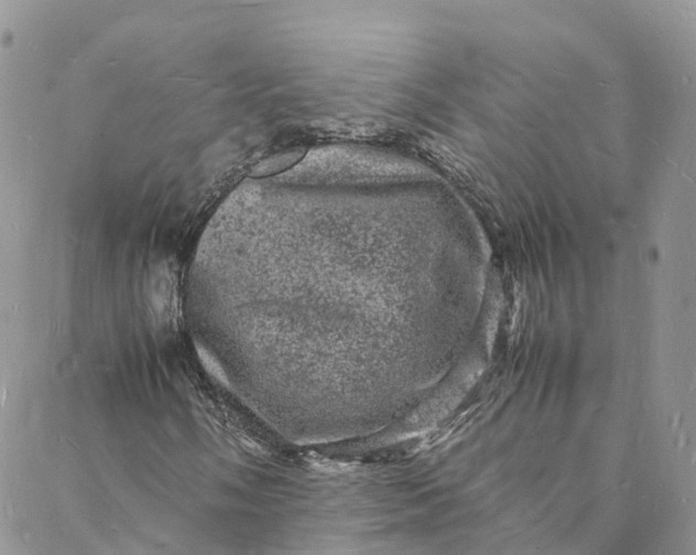 X0000088031058200705251111