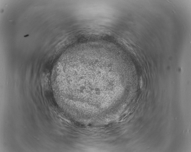 X0000088031059200705251111