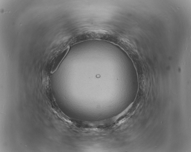 X0000088031061200705251111