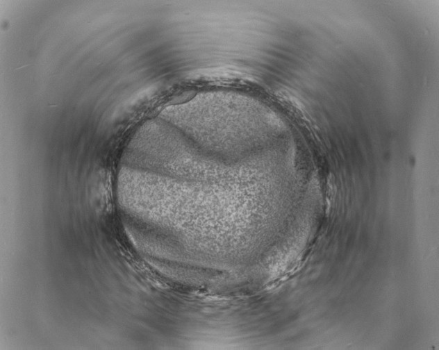 X0000088031062200705251111