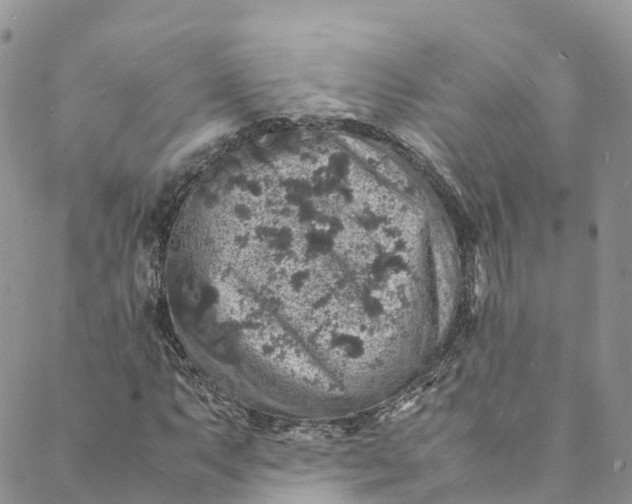 X0000088031063200705251111