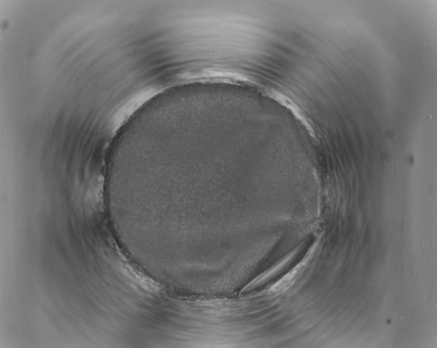 X0000088031066200705251111