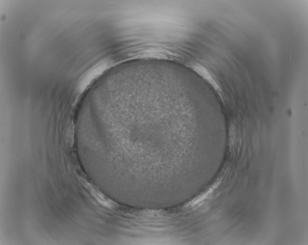 X0000088031067200705251111