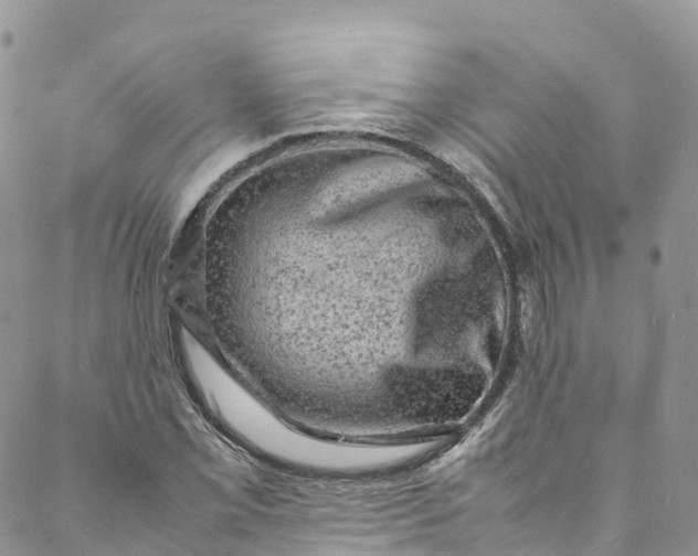 X0000088031069200705251111