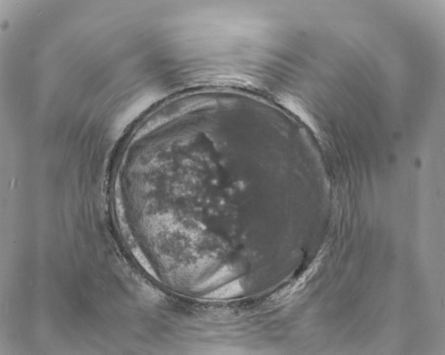 X0000088031071200705251111