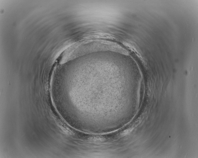 X0000088031073200705251111