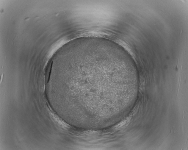 X0000088031075200705251111