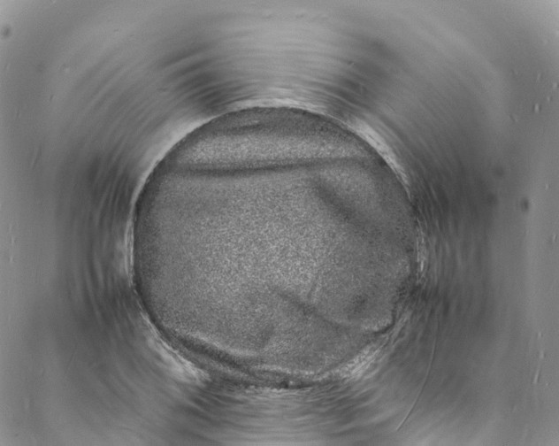 X0000088031076200705251111