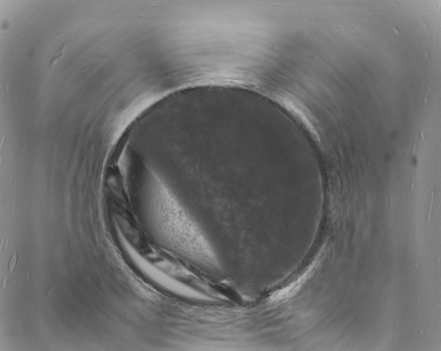 X0000088031077200705251111