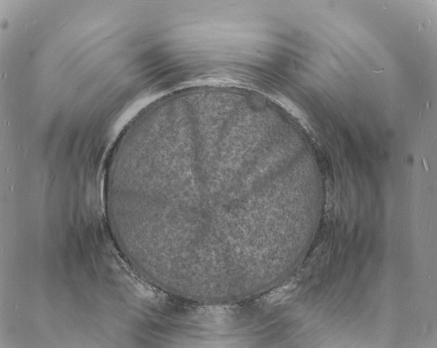 X0000088031078200705251111