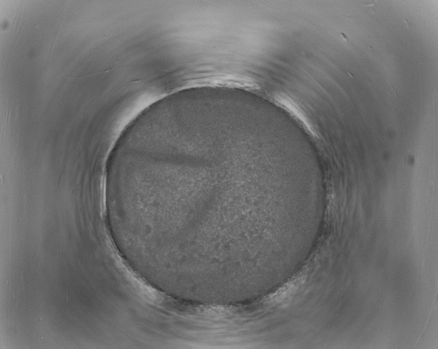 X0000088031079200705251110