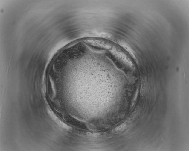 X0000088031080200705251110