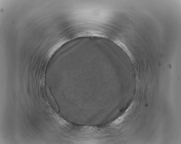 X0000088031081200705251110