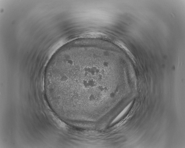 X0000088031083200705251110