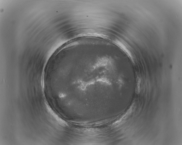 X0000088031084200705251110