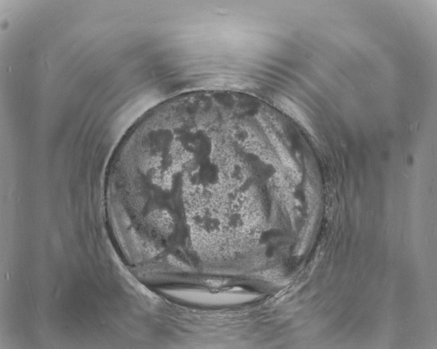 X0000088031087200705251110