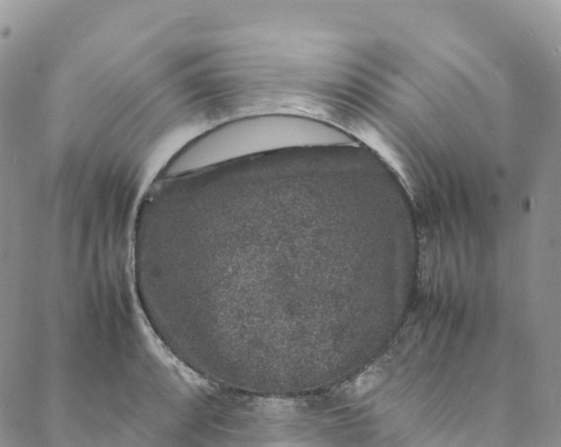 X0000088031088200705251110