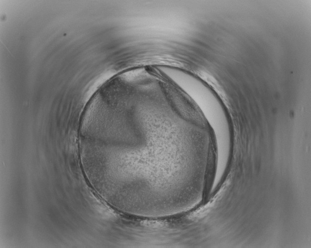 X0000088031089200705251110