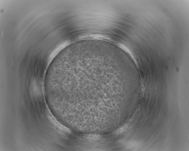 X0000088031090200705251110