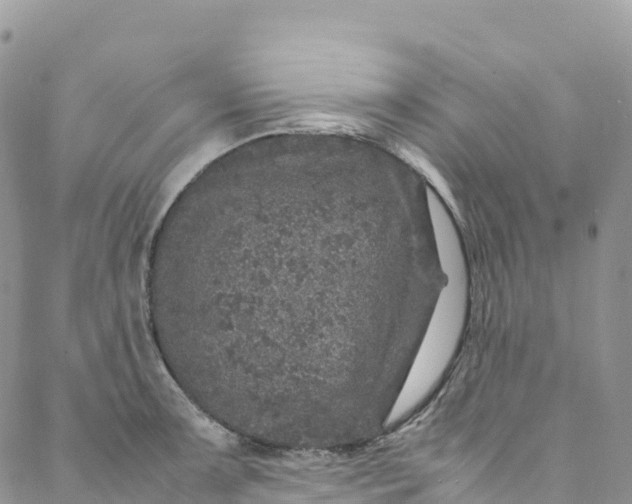 X0000088031091200705251110