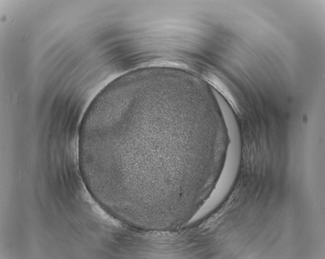 X0000088031092200705251110