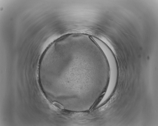 X0000088031093200705251110